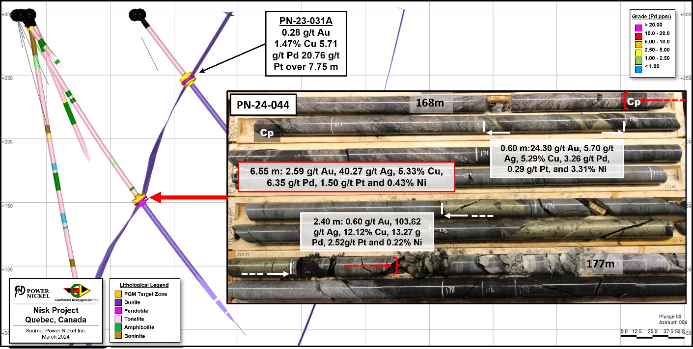 Core pictures showing the relation between observed massive chalcopyrite and grade in both PN-23-031A and PN-24-044, and massive chalcopyrite (MCp) observed in four other recent holes.