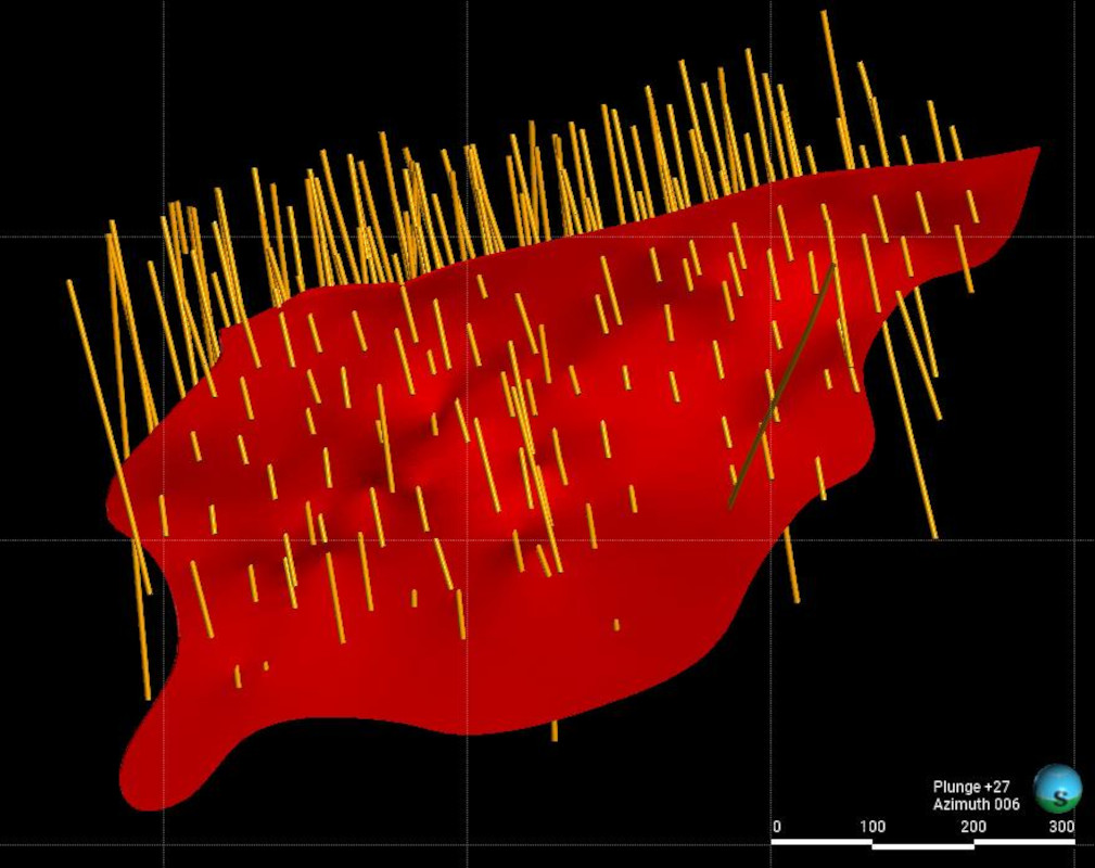 Figure 11 - 3D view (downplunge looking North) of the mineralized zone and of the drillholes included in this mineral resource estimate