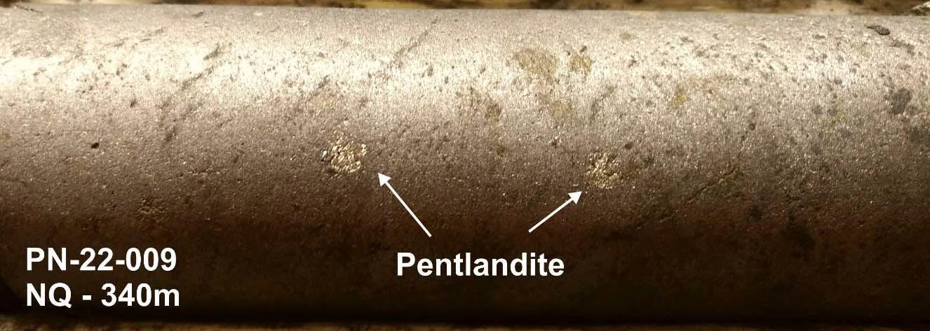 Figure 5 - Massive pyrrhotite vein with coarse‐grained pentlandite