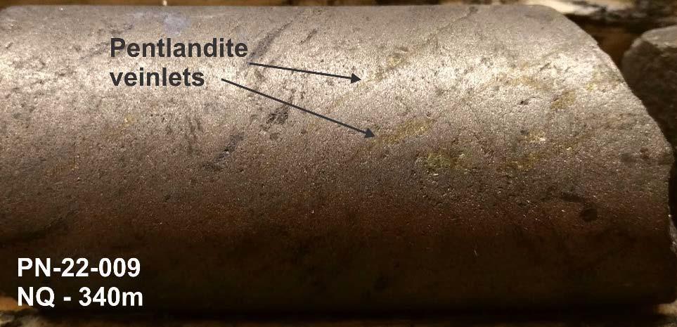 Figure 6 - Massive pyrrhotite vein with pentlandite veinlets